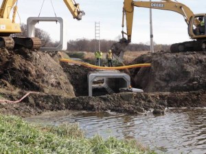 Poconos Wetland Remediation 1